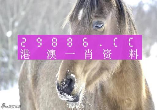 澳門平特一肖，揭秘100%準(zhǔn)確預(yù)測(cè)的背后真相，澳門平特一肖揭秘，百分百準(zhǔn)確預(yù)測(cè)真相揭秘