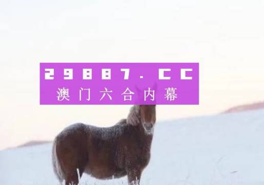 澳門正版精準免費大全，一網(wǎng)打盡各類資訊與服務，澳門正版資訊大全，精準免費，一網(wǎng)打盡各類服務與資訊