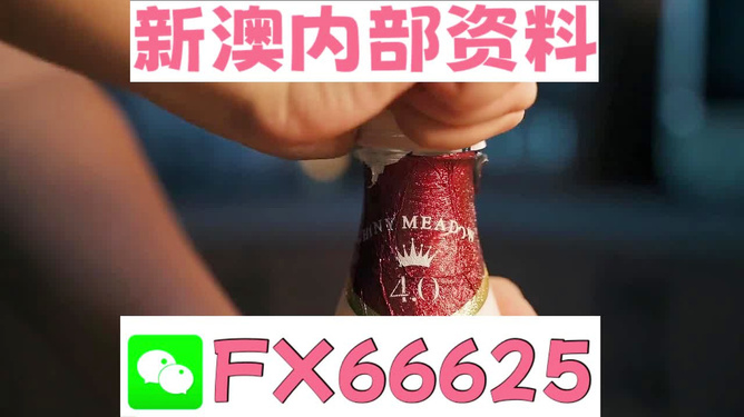 新澳門一碼一碼，揭秘100%準確預(yù)測的魅力，揭秘新澳門一碼一碼預(yù)測準確率百分之百的秘密