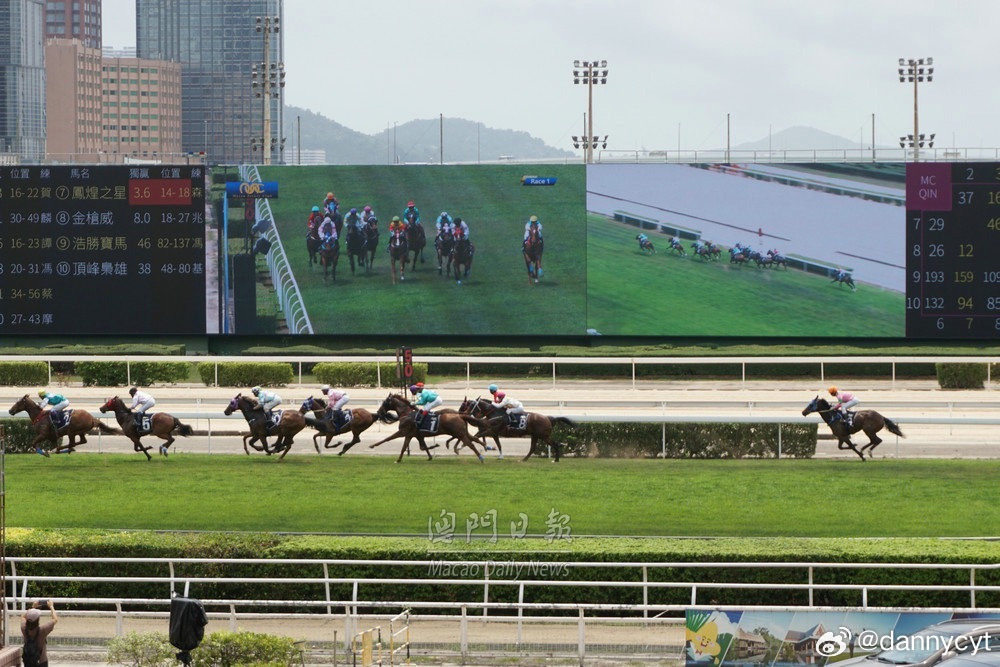2025新澳門(mén)今晚開(kāi)特馬直播——探索未來(lái)的澳門(mén)賽馬盛況，澳門(mén)賽馬盛況直播，探索未來(lái)的新澳門(mén)特馬之夜