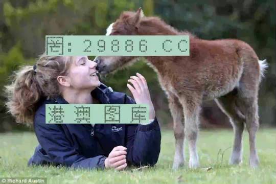 澳門今晚必開一肖一特，探尋幸運(yùn)密碼，澳門今晚幸運(yùn)密碼揭曉，探尋必開一肖一特之幸運(yùn)密碼