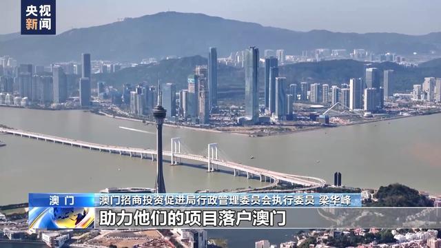 澳門最精準正最精準龍門，探索澳門的精準魅力，澳門精準魅力探索，龍門之秘