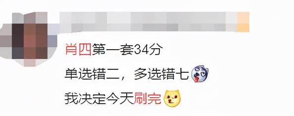 一碼一肖一特早出晚160，探索與解析，一碼一肖一特早出晚解析與探索
