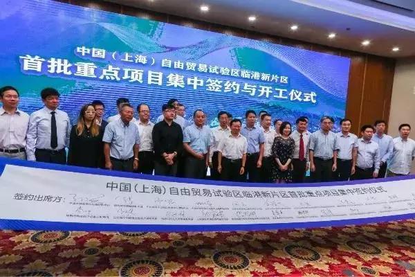 新奧天天免費(fèi)資料大全下載安裝全攻略，新奧天天免費(fèi)資料大全，下載、安裝全攻略及資料庫使用指南