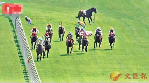 香港資料大全正版資料2025年免費四柱，馬報熱門資訊解析，香港正版資料解析與四柱預測，熱門馬報資訊免費解讀