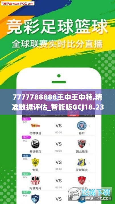 揭秘王中王7623，背后的故事與傳奇，揭秘王中王7623，背后的故事與傳奇之旅