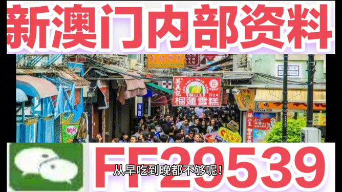 澳門今晚開什么號，一探彩票背后的故事與魅力，彩票背后的魅力與故事，澳門今晚開獎揭曉