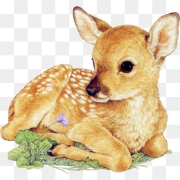 四不像資料免費大全精準，一網(wǎng)打盡各類資源，四不像資料大全，免費獲取精準資源，一網(wǎng)打盡各類資料