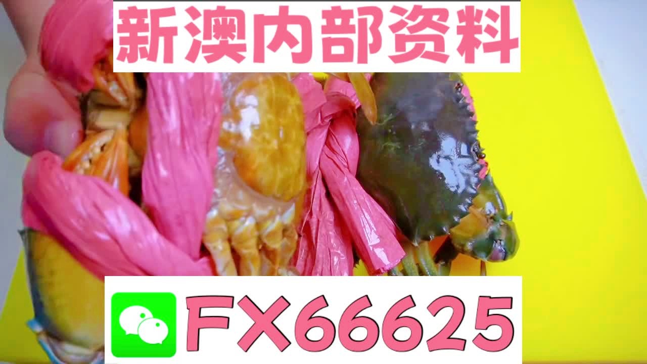 『揭秘2025新澳精準(zhǔn)資料大全，深度解讀與解析』，揭秘2025新澳精準(zhǔn)資料大全，深度解讀與全面解析