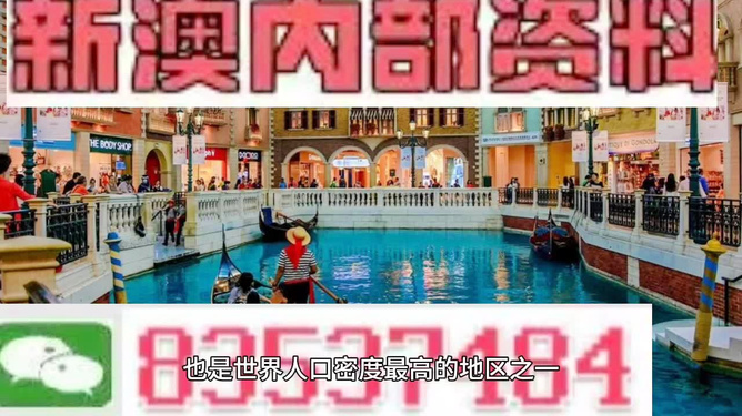 新澳門免費(fèi)精準(zhǔn)龍門客棧管家婆——探索現(xiàn)代澳門的神秘魅力，現(xiàn)代澳門神秘魅力揭秘，龍門客棧管家婆與免費(fèi)精準(zhǔn)攻略