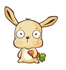 澳門一碼一肖一待一中四不像圖片——揭秘與探索，澳門神秘圖片揭秘，一碼一肖一待一中四不像的探索