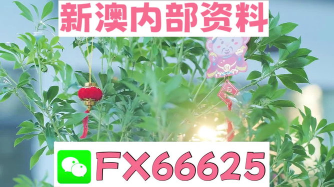 新澳好彩免費資料查詢背后的故事，水果奶奶醉八仙，新澳好彩免費資料查詢背后的故事，水果奶奶的八仙醉傳奇