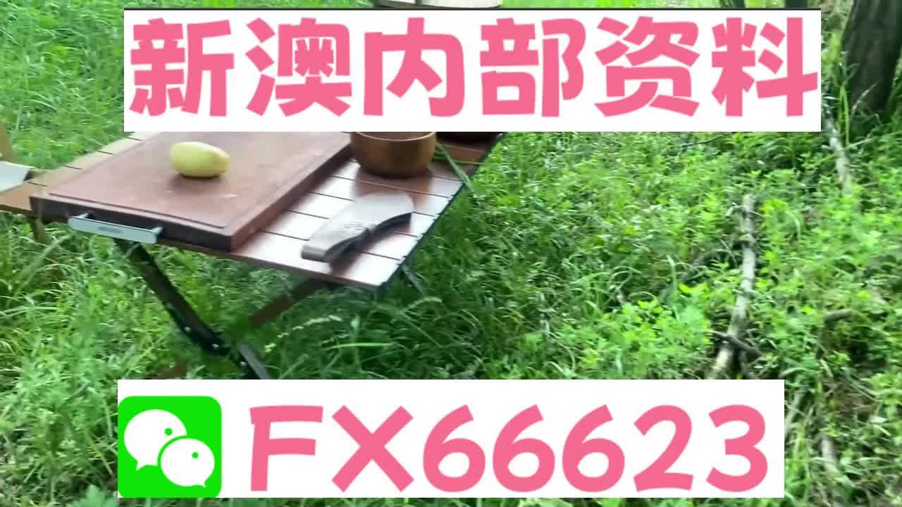 2025新澳精準資料大全解釋 第11頁