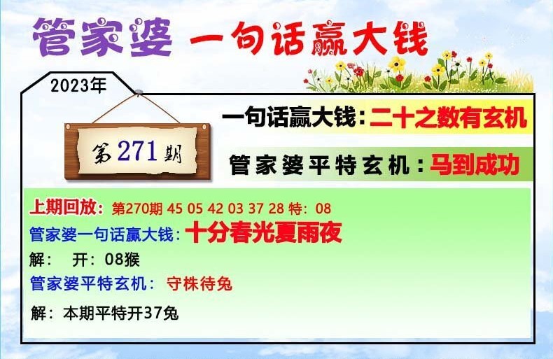 揭秘202管家婆一肖一碼，解碼神秘?cái)?shù)字的魅力，揭秘神秘?cái)?shù)字魅力，解碼管家婆一肖一碼的秘密