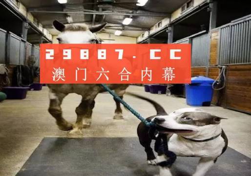澳門一肖一碼一必中，同舟共濟(jì)揚(yáng)帆前進(jìn)，澳門一肖一碼精準(zhǔn)預(yù)測(cè)，同舟共濟(jì)共赴未來