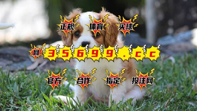 澳門特馬今期開獎結果2025年記錄全解析，澳門特馬2025年開獎結果全記錄解析
