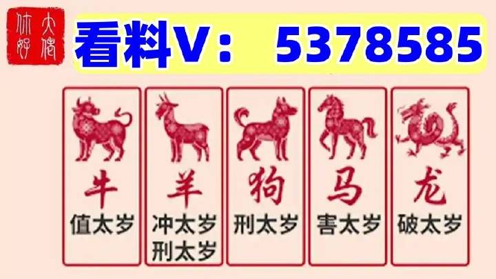 揭秘澳門特馬今期開獎結(jié)果查詢——一網(wǎng)打盡最新資訊，澳門特馬最新開獎結(jié)果及資訊查詢指南
