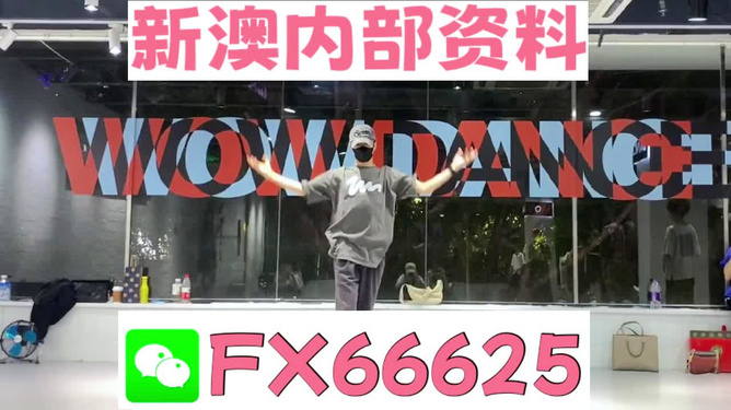預(yù)見未來(lái)，2025年管家婆100的崛起，預(yù)見未來(lái)，管家婆100在2025年的崛起之路