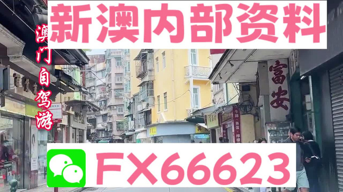 新澳最精準(zhǔn)正最精準(zhǔn)龍門客棧，一網(wǎng)打盡天下英雄，新澳龍門客棧，英雄一網(wǎng)打盡之地