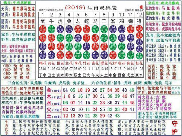 澳門正版資料大全資料生肖卡的探索之旅，澳門正版資料大全生肖卡探索之旅揭秘