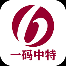 澳門一肖一碼一一子中特，探尋獨特魅力的文化寶藏，澳門文化寶藏探尋，一肖一碼一一子中的獨特魅力