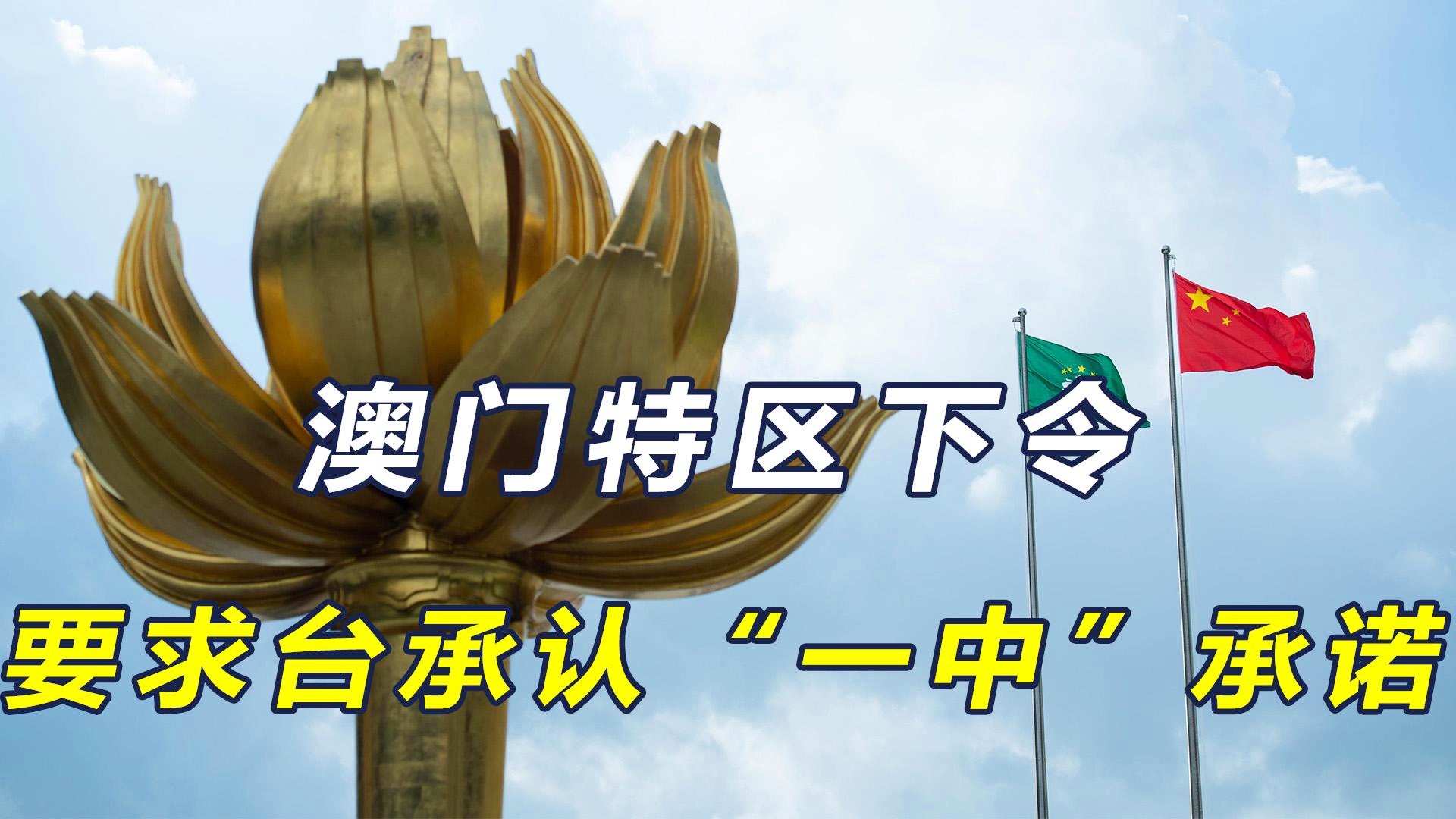 澳門一碼一肖一待一中四不像的獨特魅力，澳門一碼一肖獨特魅力，一待一中四不像的魅力展現(xiàn)