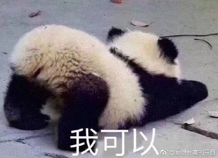 澳門四不像網(wǎng)鳳凰，探索神秘與魅力的交匯點，澳門四不像網(wǎng)鳳凰，神秘魅力交匯點的探索之旅