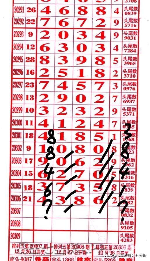 四肖八碼中大獎，揭秘彩票背后的秘密與幸運之路，揭秘四肖八碼彩票背后的幸運之路與大獎秘密