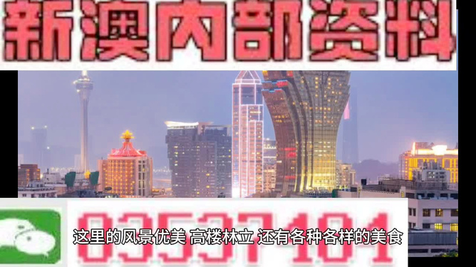 澳門免費精準資料，探索與揭秘，澳門免費精準資料揭秘探索之旅