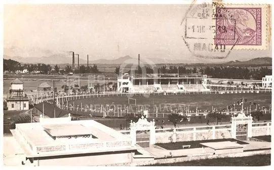 揭秘澳門跑狗圖，探尋精準(zhǔn)預(yù)測之秘，澳門跑狗圖揭秘，探尋精準(zhǔn)預(yù)測奧秘