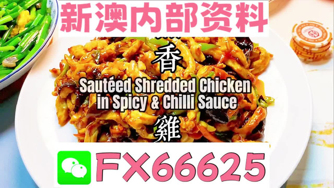 新奧精準(zhǔn)資料免費(fèi)提供，助力個(gè)人與企業(yè)成長(zhǎng)，新奧精準(zhǔn)資料免費(fèi)分享，助力個(gè)人與企業(yè)發(fā)展