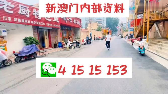 揭秘，2025年新澳門天天開彩的無限魅力與未來展望，揭秘新澳門天天開彩的魅力與未來展望（展望至2025年）