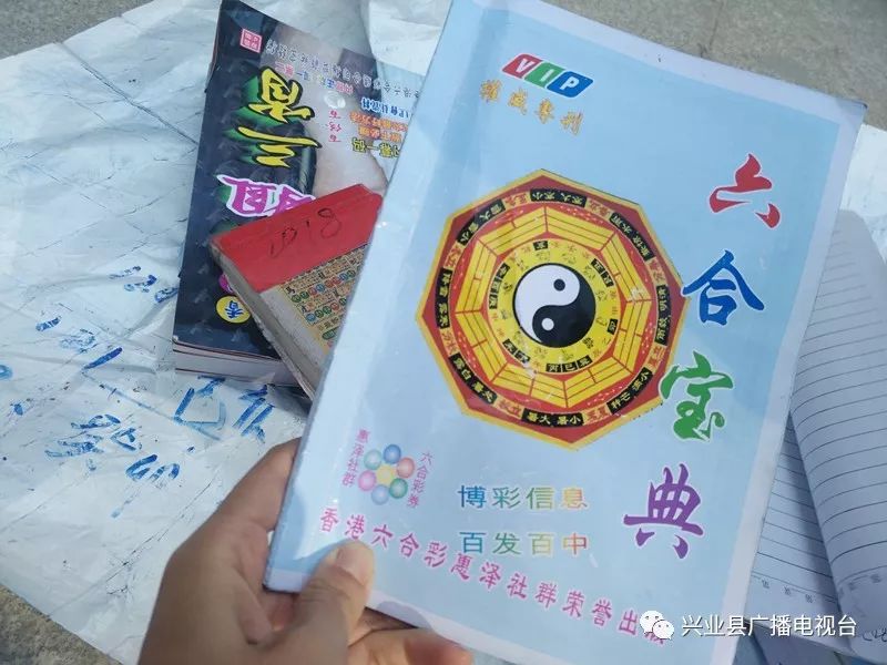 最新六盒寶典資料免費大全下載攻略，最新六盒寶典資料免費下載攻略大全