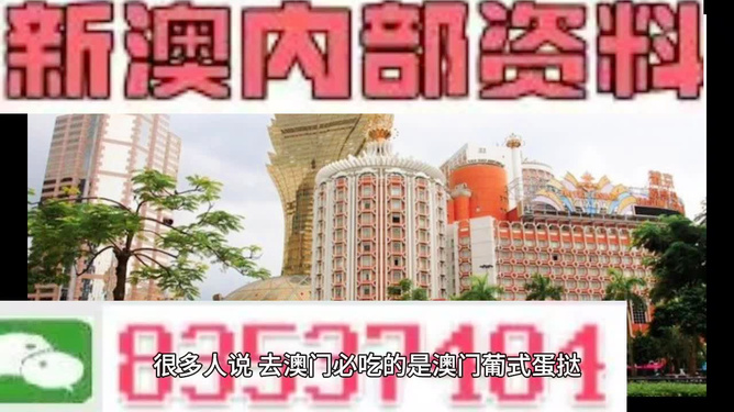 新澳門最精準資料大全——探索澳門的無限魅力，澳門魅力揭秘，最新精準資料大全