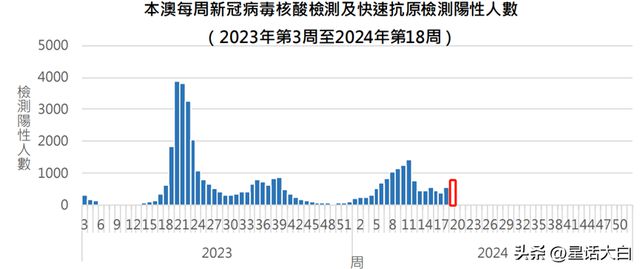揭秘2025年新澳門王中王開獎結(jié)果，揭秘，2025新澳門王中王開獎結(jié)果揭曉