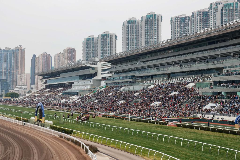 關(guān)于香港今晚開特馬的分析與預(yù)測（一），香港今晚特馬分析與預(yù)測（一）