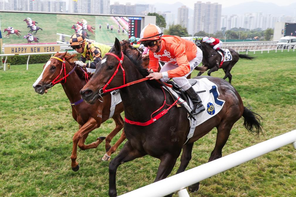揭秘香港今晚特馬開彩背后的故事，2025年的期待與狂歡，香港特馬開彩背后的故事，2025年的期待與狂歡之夜