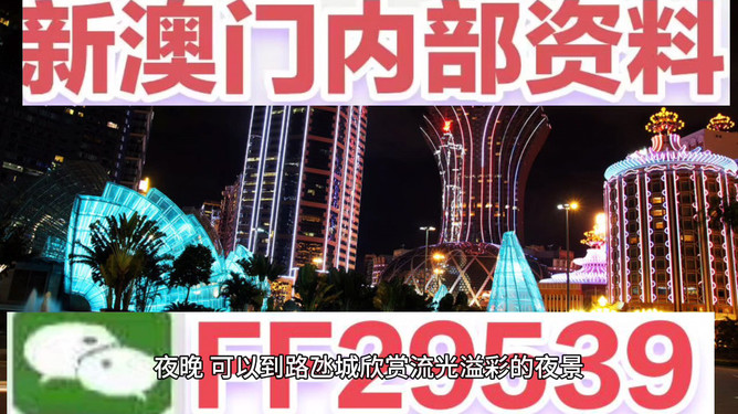 澳門今晚必開一肖一特，揭秘博彩文化背后的秘密，澳門博彩文化揭秘，今晚必開一肖一特探尋背后的秘密