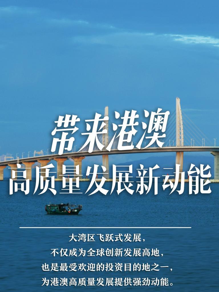 探索未來之門，2025新澳門精準免費大全，探索未來之門，2025新澳門精準免費大全概覽