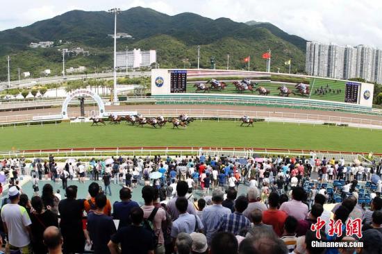 香港資料大全——正版資料手機下載攻略，香港資料大全，正版資料手機下載攻略