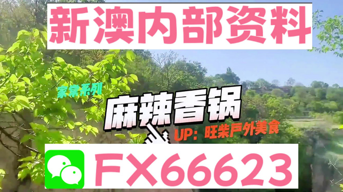 新澳精準(zhǔn)資料大揭秘，免費提供的價值與影響力，新澳精準(zhǔn)資料揭秘，免費提供的價值與影響力不容小覷