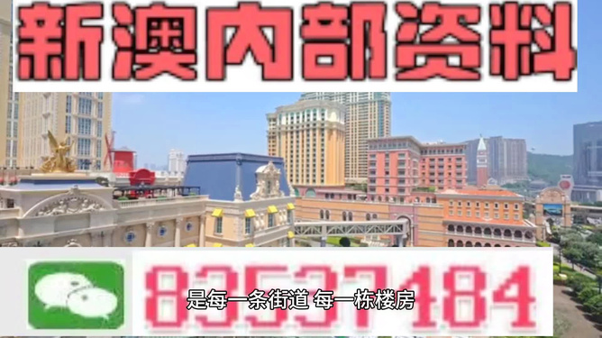 澳門最精準正最精準龍門，揭秘背后的秘密，澳門最精準正龍門背后的秘密揭秘
