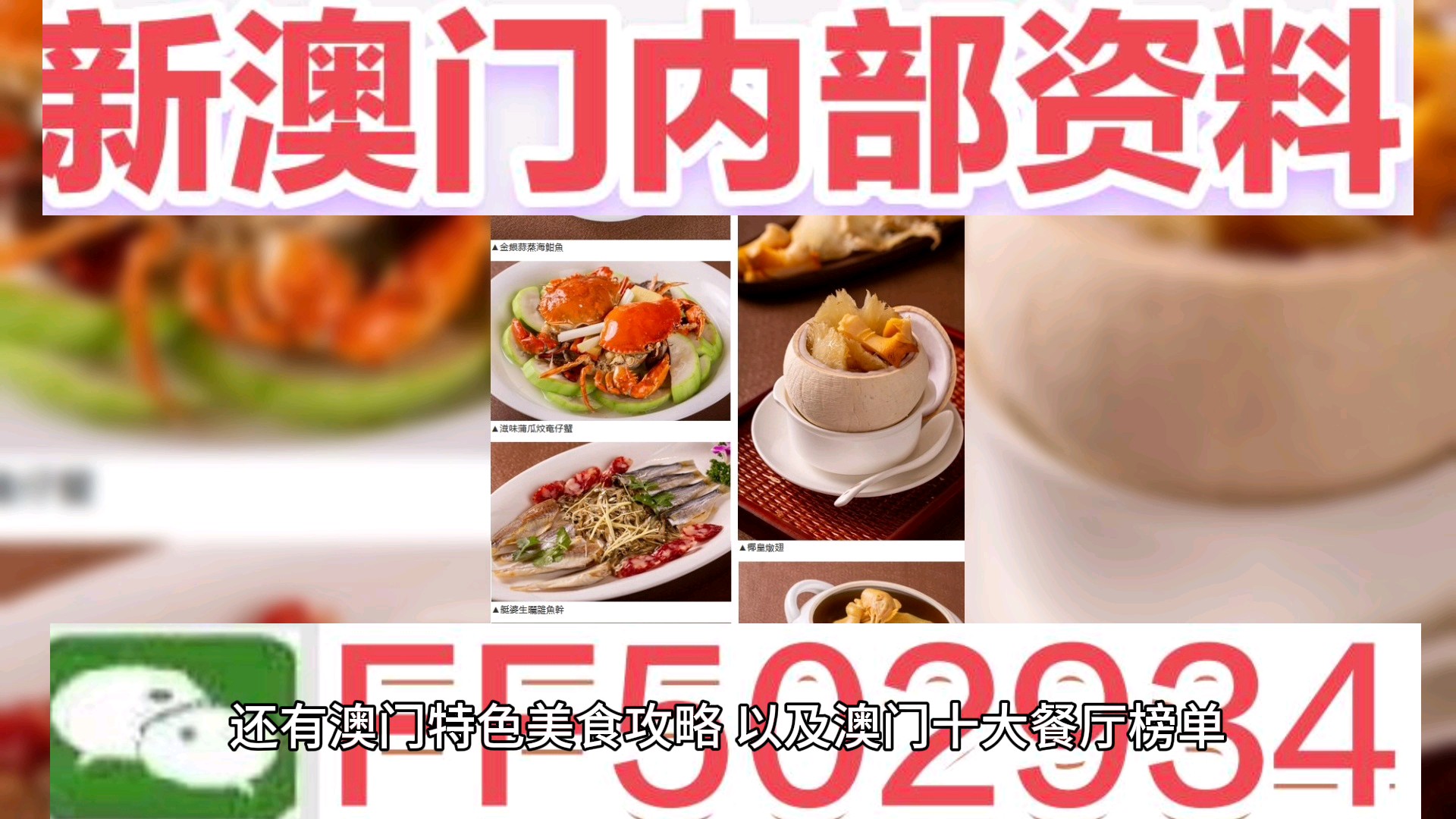 澳門資料大全，探索澳門在2021年的無限魅力，澳門魅力揭秘，2021年最新資料大全探索