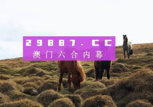 今日新澳門開獎記錄全解析，澳門今日開獎記錄全解析