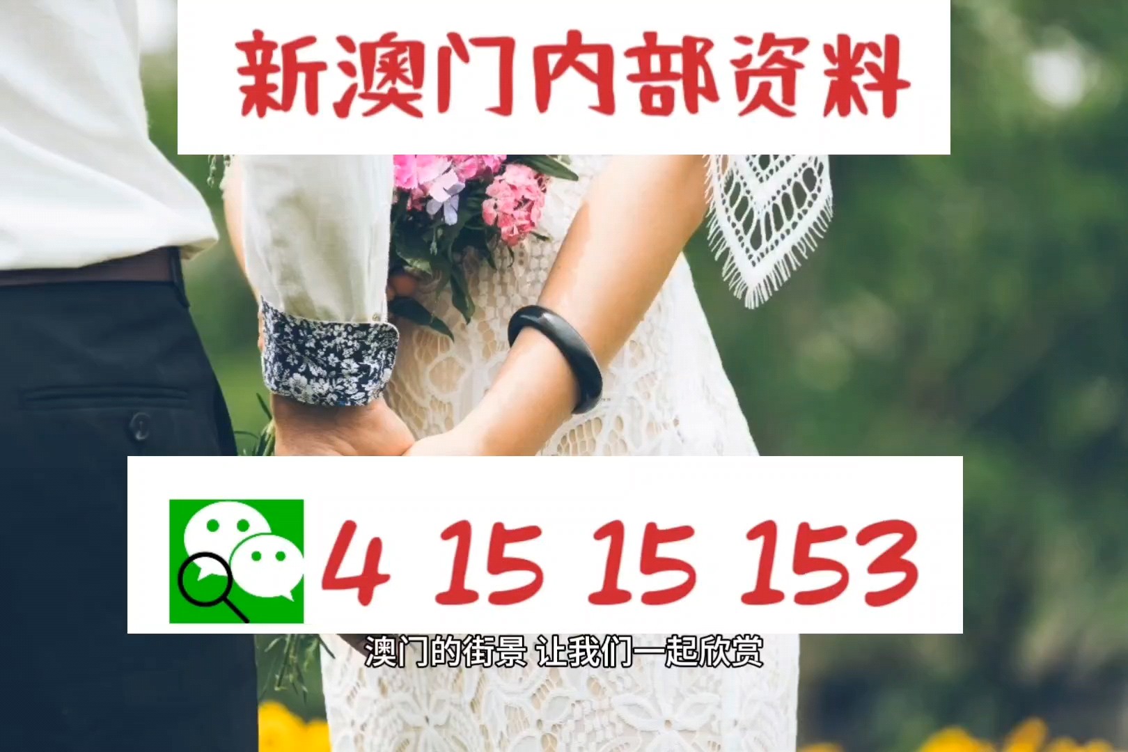揭秘2025新澳免費(fèi)資料公式，一網(wǎng)打盡最新資訊！，揭秘2025新澳免費(fèi)資料公式，掌握最新資訊一網(wǎng)打盡！