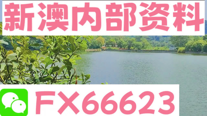 新澳精準資料免費提供網(wǎng)站及其可用軟件概述，新澳精準資料免費分享平臺與軟件應(yīng)用概述