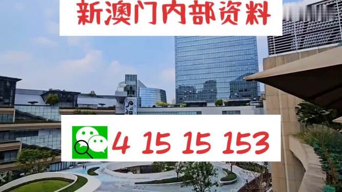 新澳門一碼中精準(zhǔn)預(yù)測，探索免費中特新紀(jì)元，澳門新紀(jì)元，精準(zhǔn)預(yù)測探索免費中特預(yù)測新動向