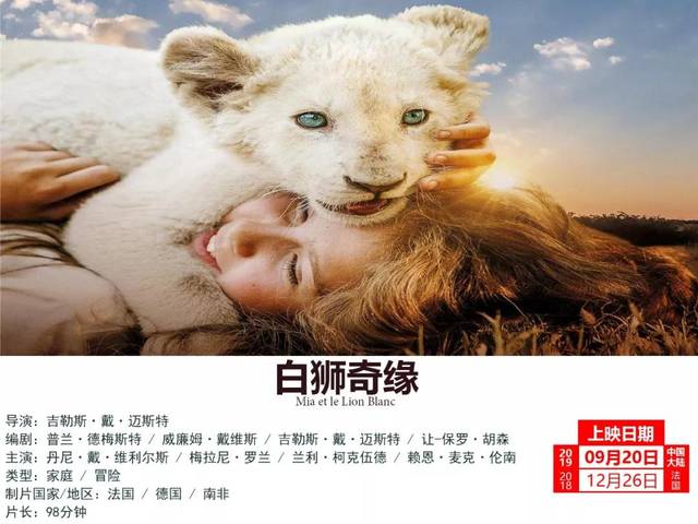 揭秘白小姐奇緣四肖，資料大全與正版故事回顧，揭秘白小姐奇緣四肖，資料回顧與正版故事探秘