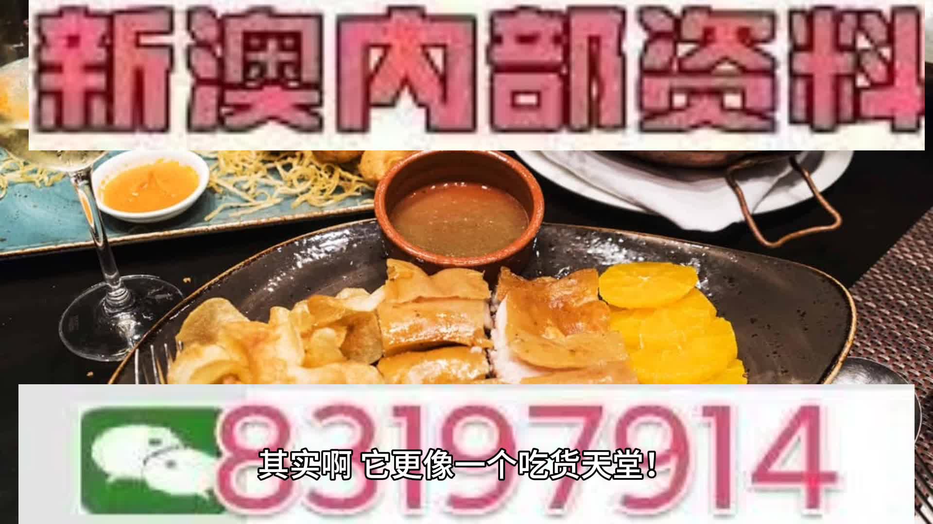 新澳2025年一肖一馬中特，未來(lái)展望與暢想，新澳未來(lái)展望，2025年一肖一馬中特的暢想與展望