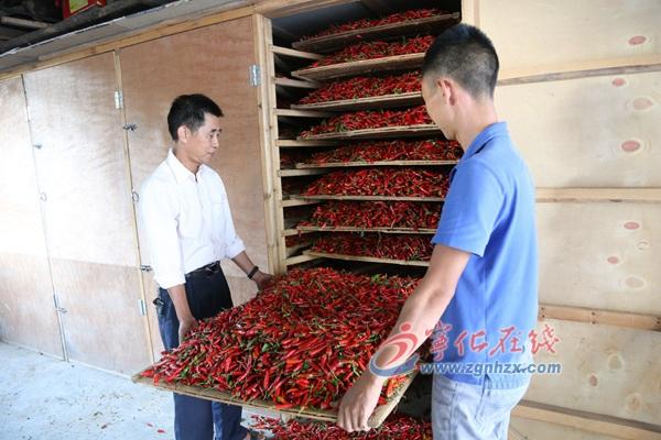 王中王免費(fèi)資料大全料大全一一l